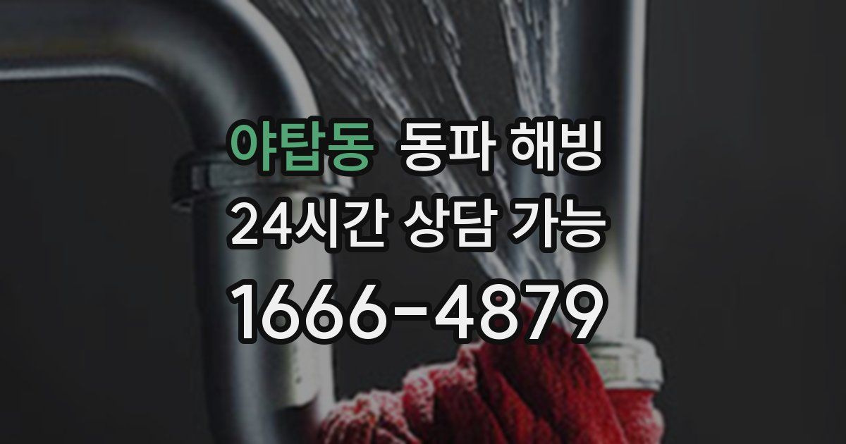 야탑동 동파 해빙