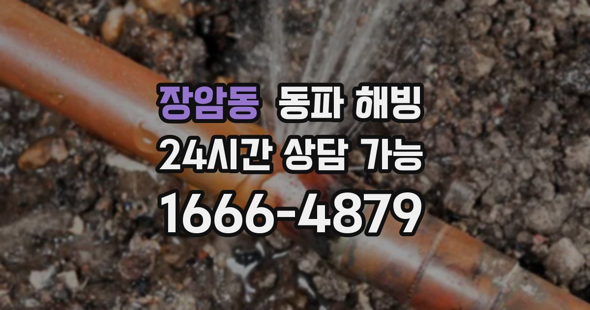 장암동 동파 해빙