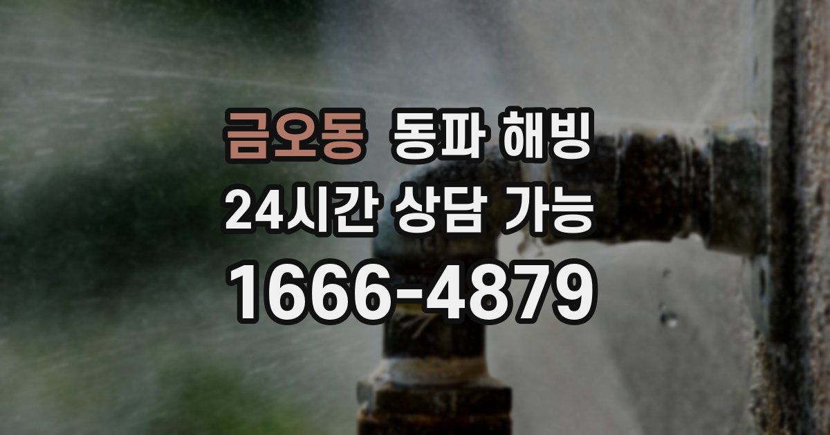 금오동 동파 해빙