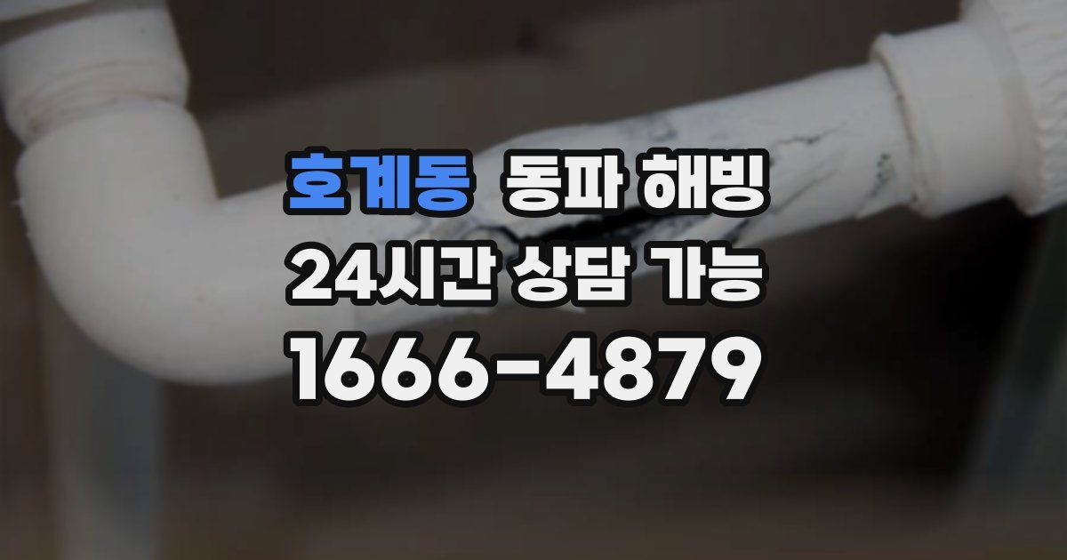 호계동 동파 해빙