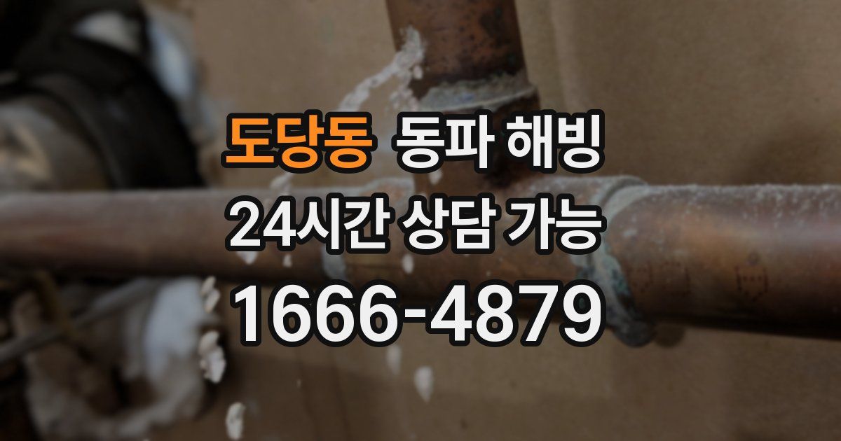 도당동 동파 해빙