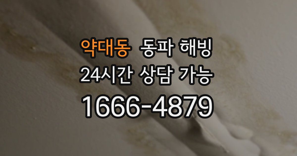 약대동 동파 해빙