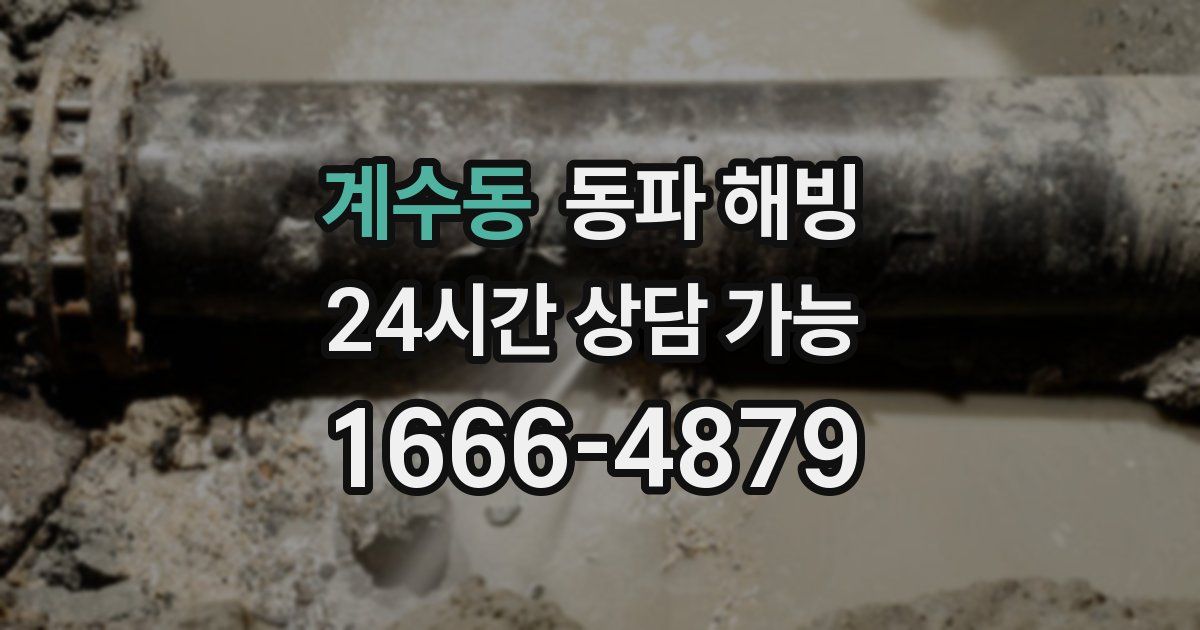 계수동 동파 해빙