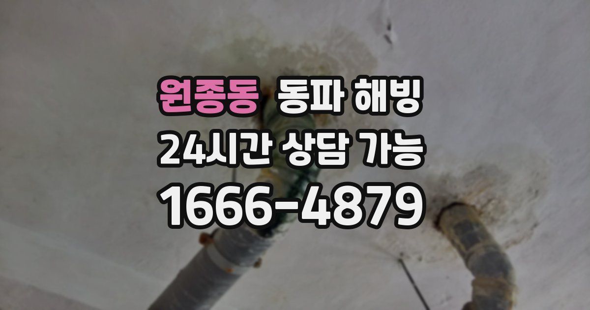 원종동 동파 해빙