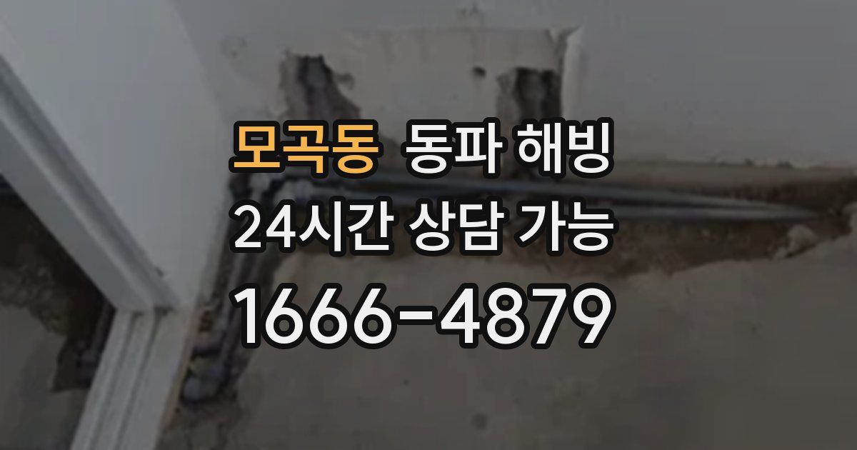 모곡동 동파 해빙