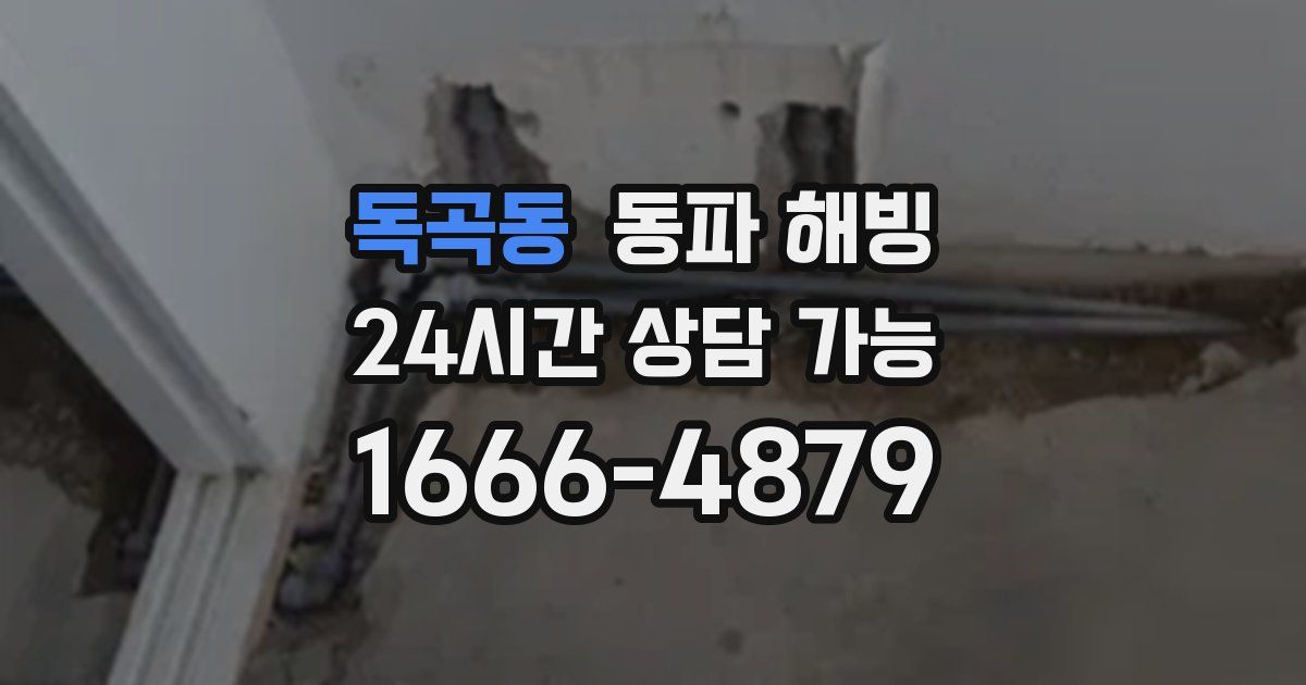 독곡동 동파 해빙