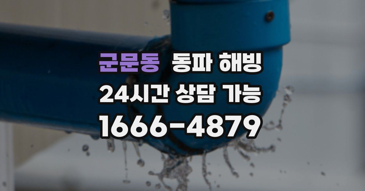 군문동 동파 해빙