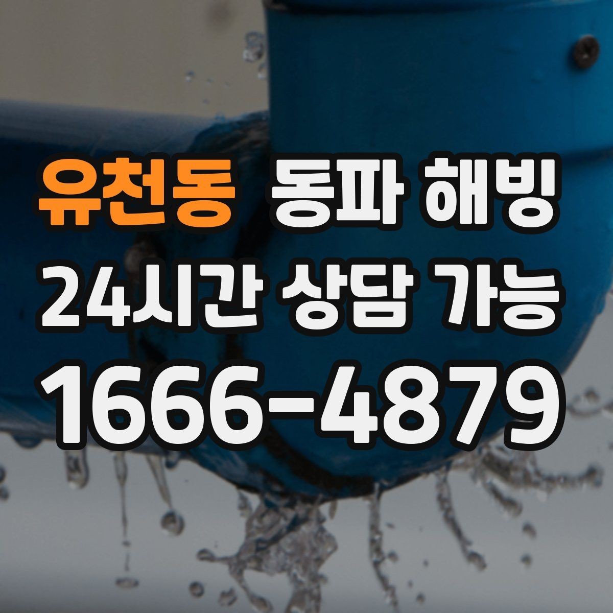 유천동 동파 해빙 급수 중단인데 배수는 잘 될 때 점검
