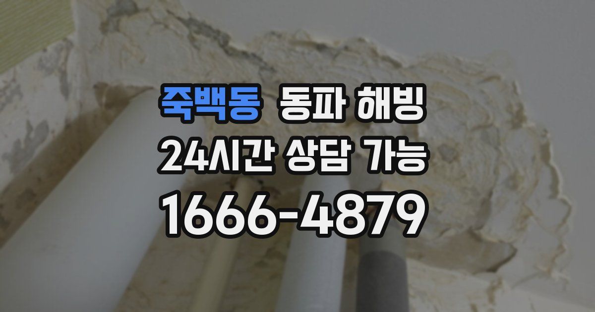 죽백동 동파 해빙