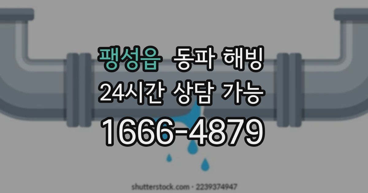 팽성읍 동파 해빙