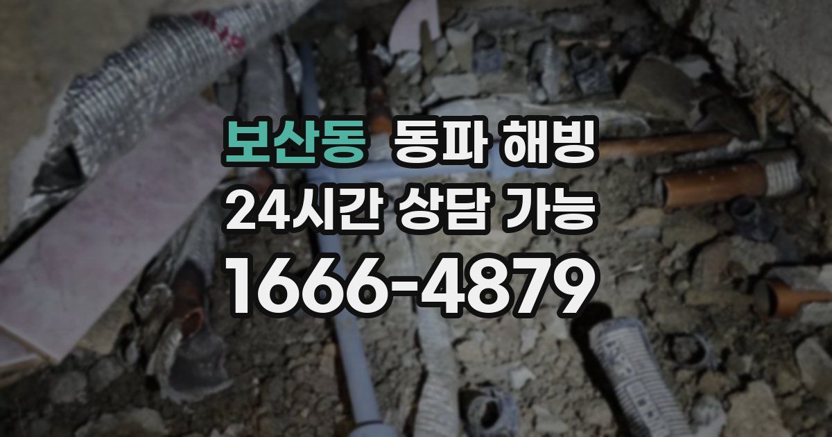 보산동 동파 해빙