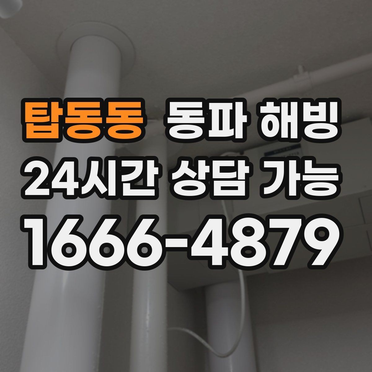 탑동동 동파 해빙 찬물만 약해졌을 때 분기 라인 확인