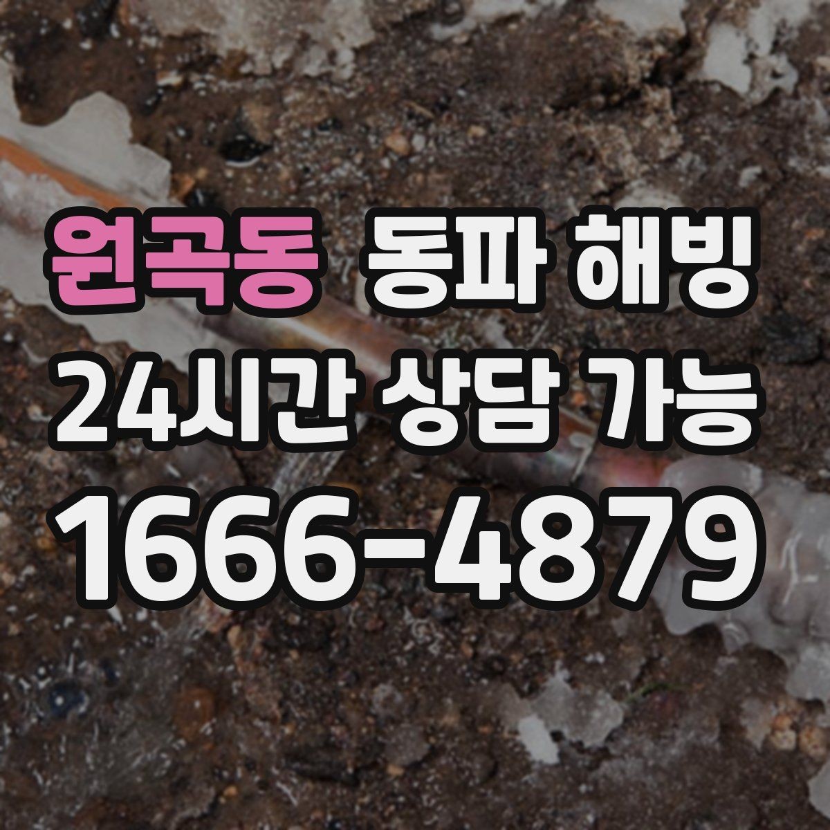 원곡동 동파 해빙 결빙 해소 후에도 불안하면 추가 점검