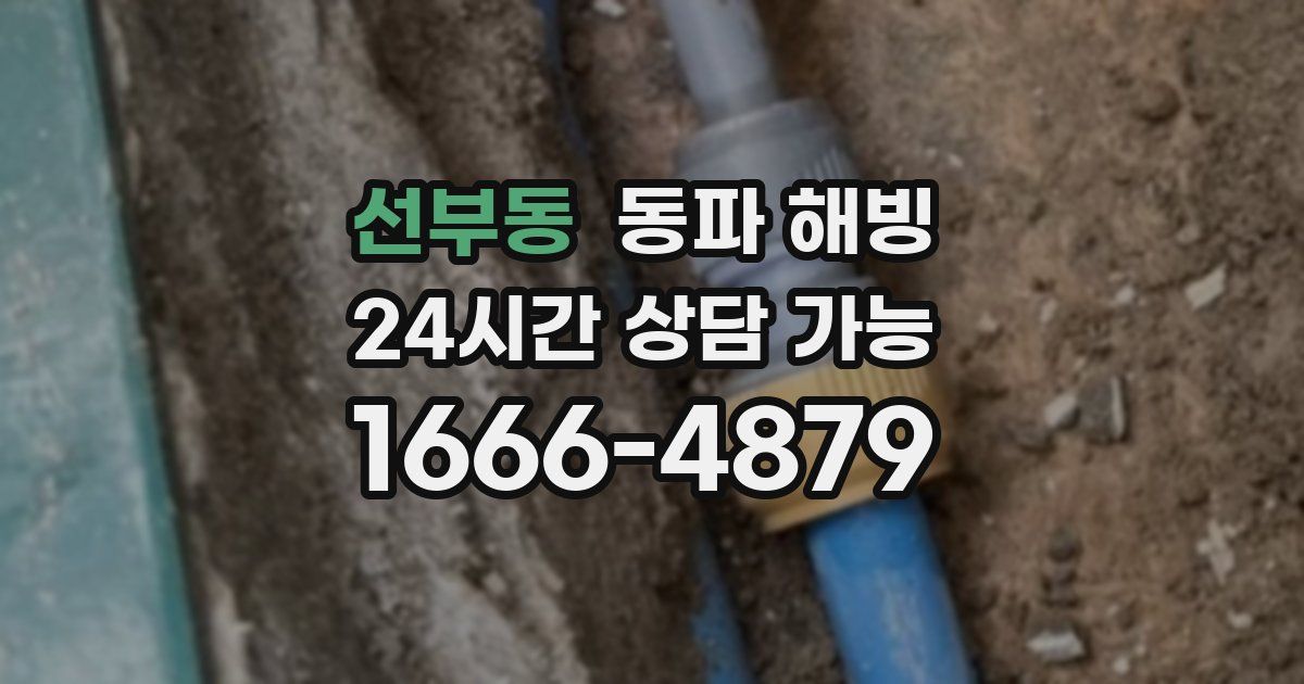 선부동 동파 해빙