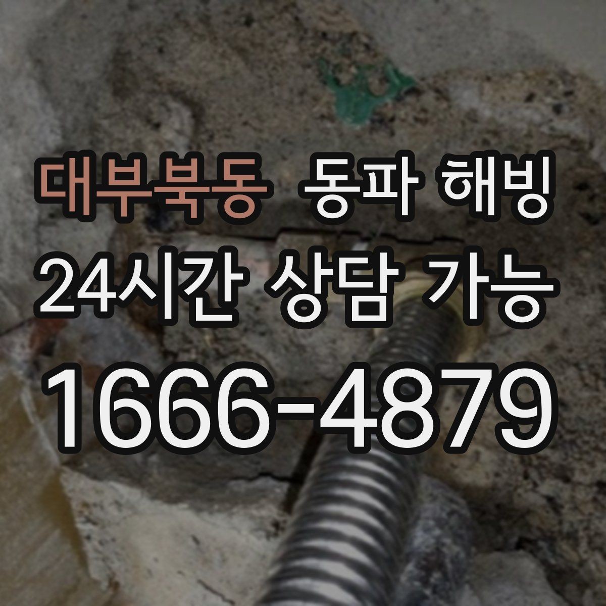 대부북동 동파 해빙 주방만 막히는 결빙 패턴 정리