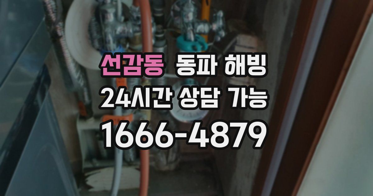 선감동 동파 해빙