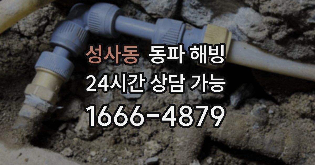 성사동 동파 해빙