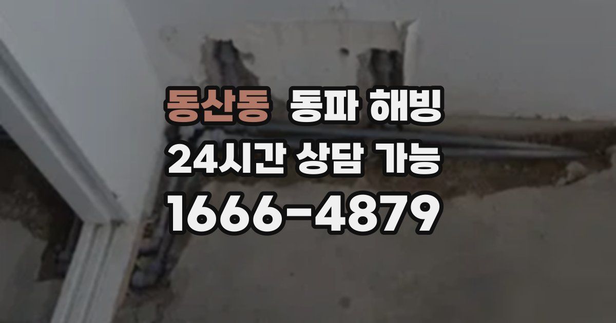 동산동 동파 해빙