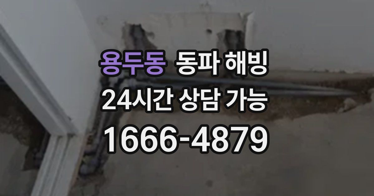 용두동 동파 해빙