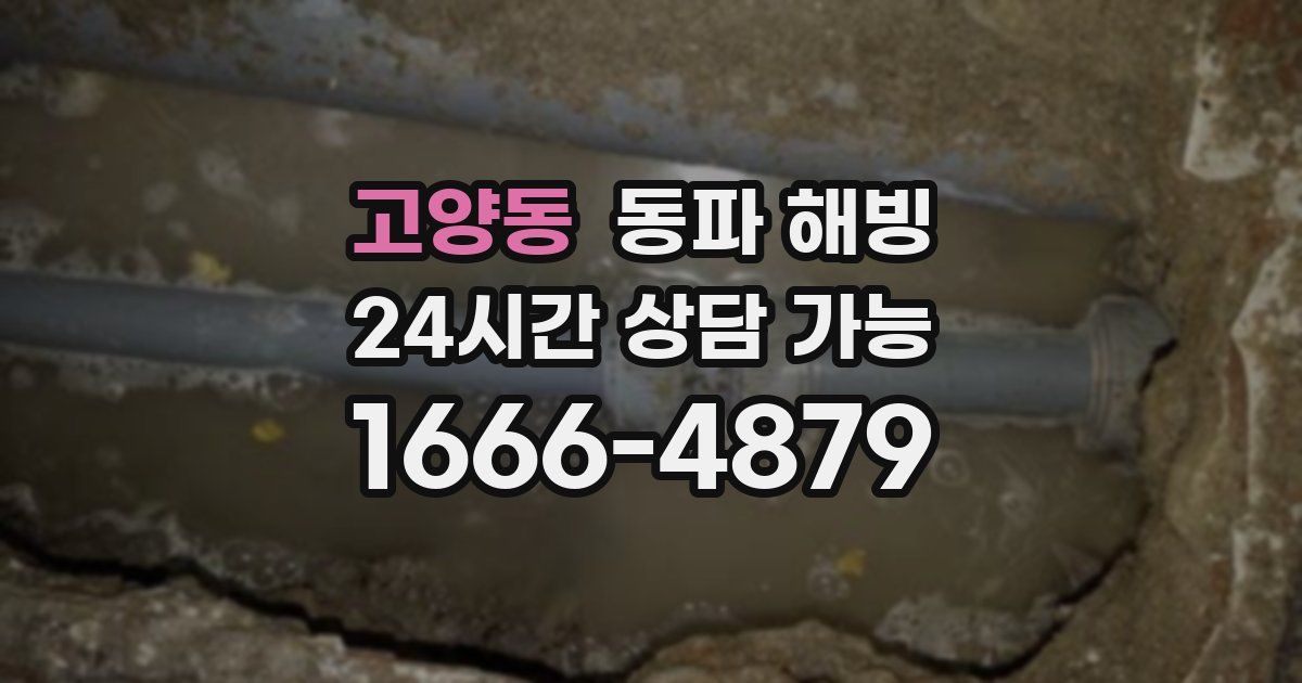 고양동 동파 해빙