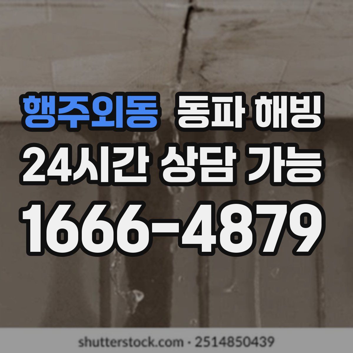 행주외동 해빙