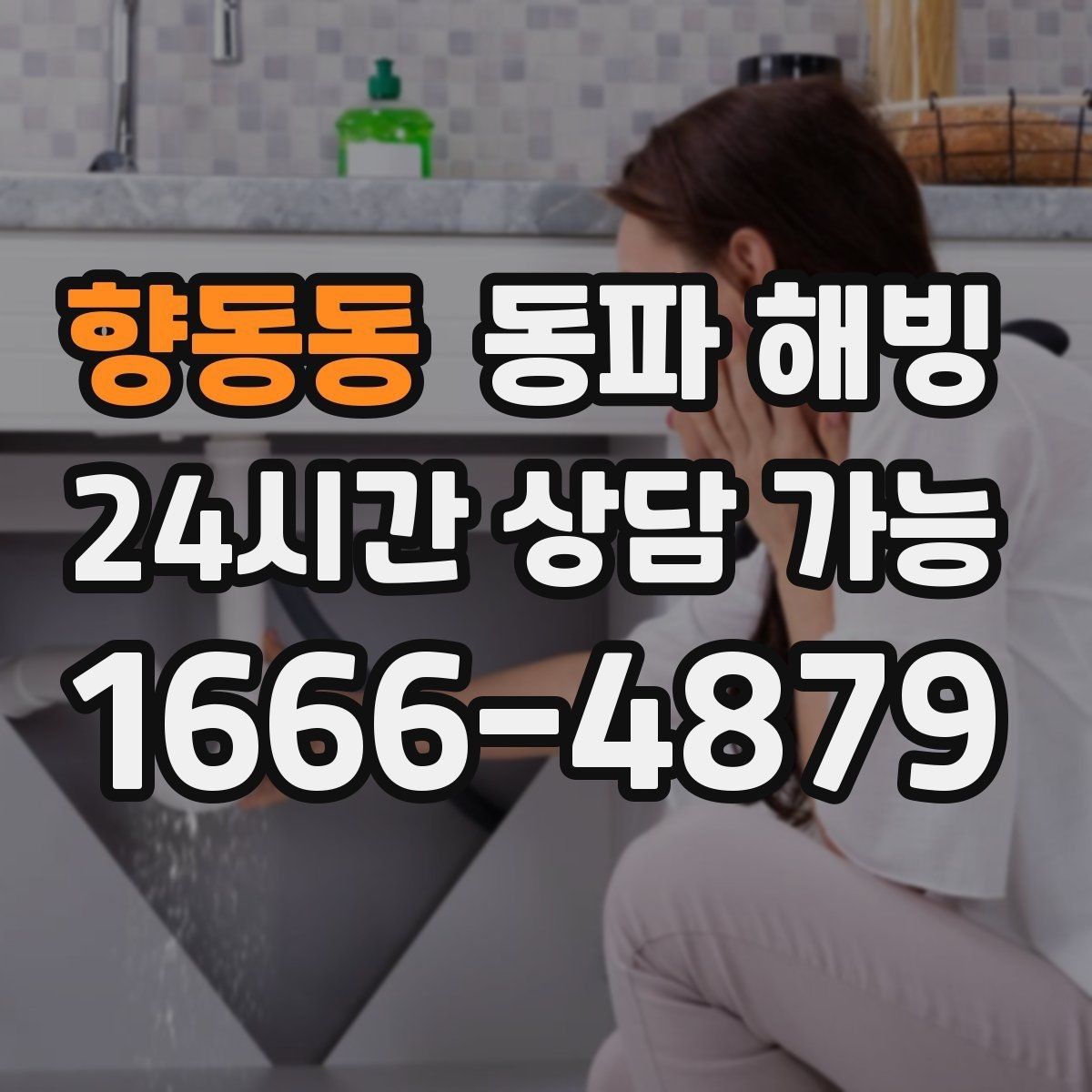 향동동 동파 해빙 주방 결빙이 반복되는 집 특징