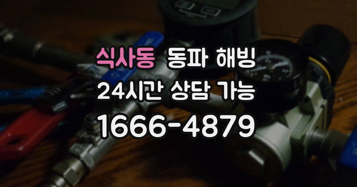 식사동 동파 해빙