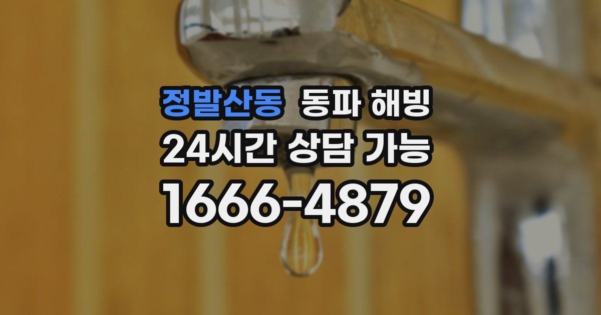 정발산동 동파 해빙