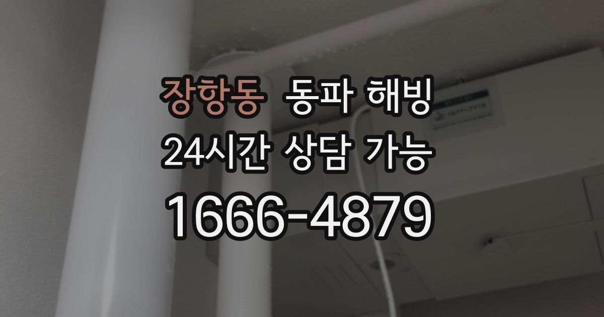 장항동 동파 해빙