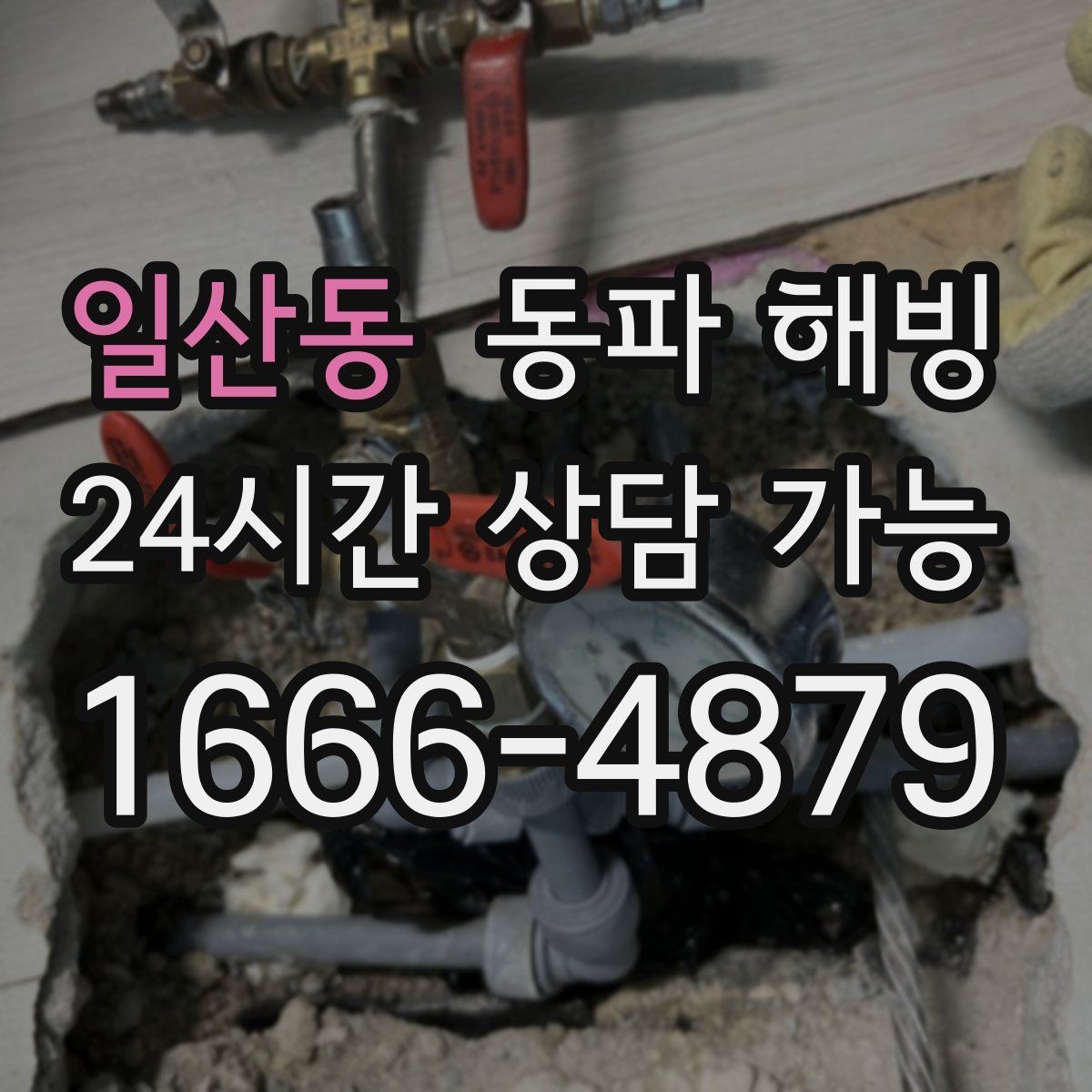 일산동 동파 해빙 세탁기만 막히는 결빙 패턴 정리