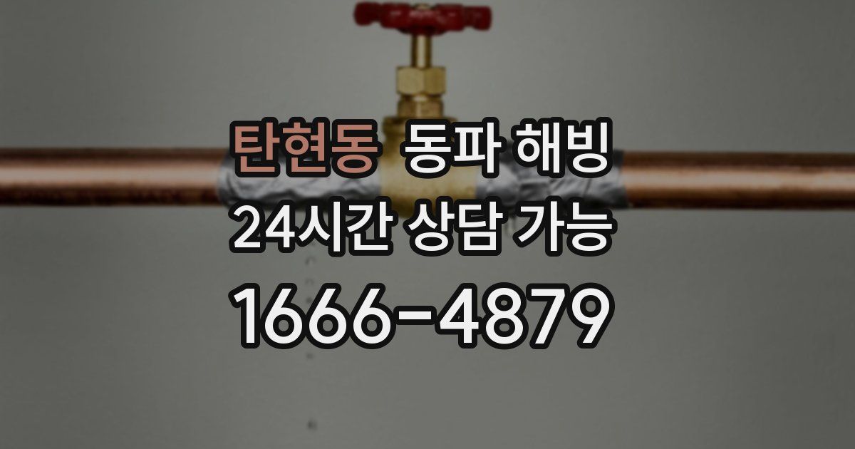 탄현동 동파 해빙