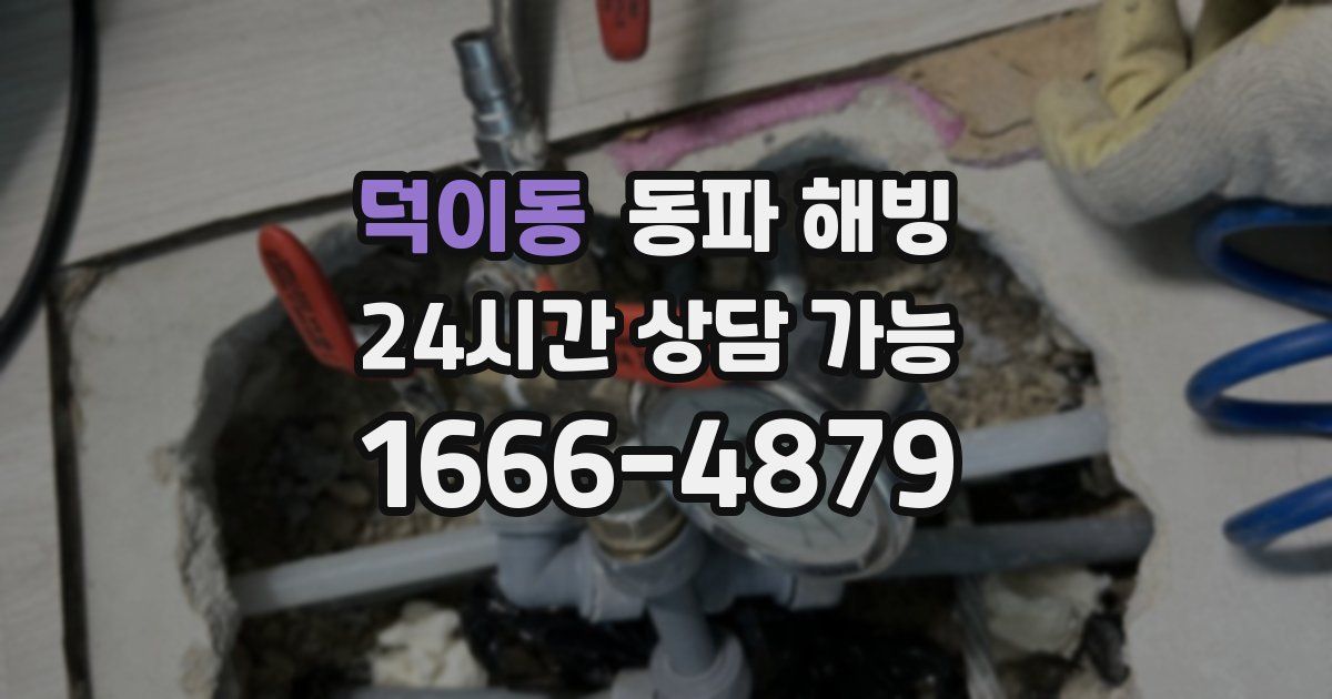 덕이동 동파 해빙