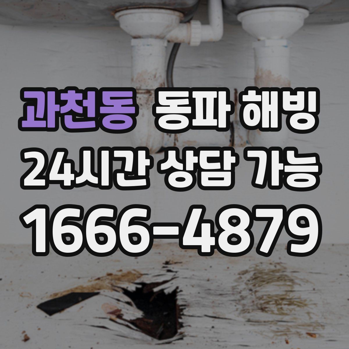 과천동 동파 해빙 세탁기 라인 결빙이 잦은 집 특징