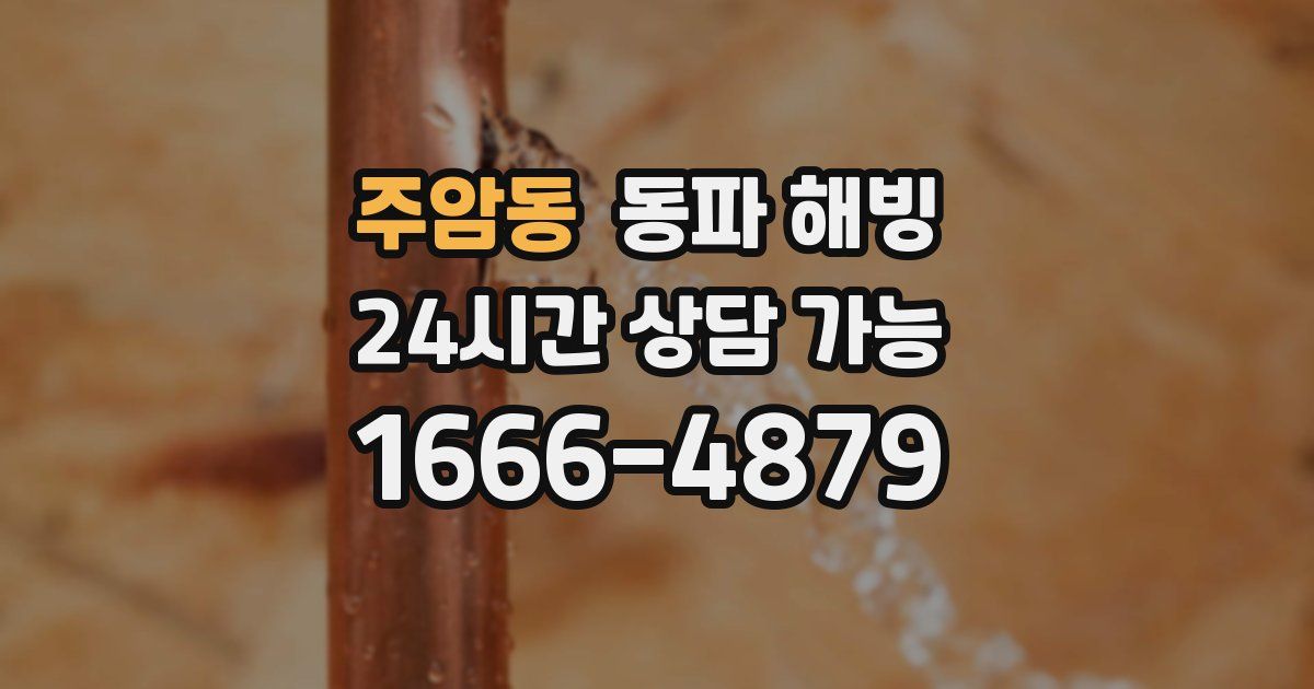 주암동 동파 해빙