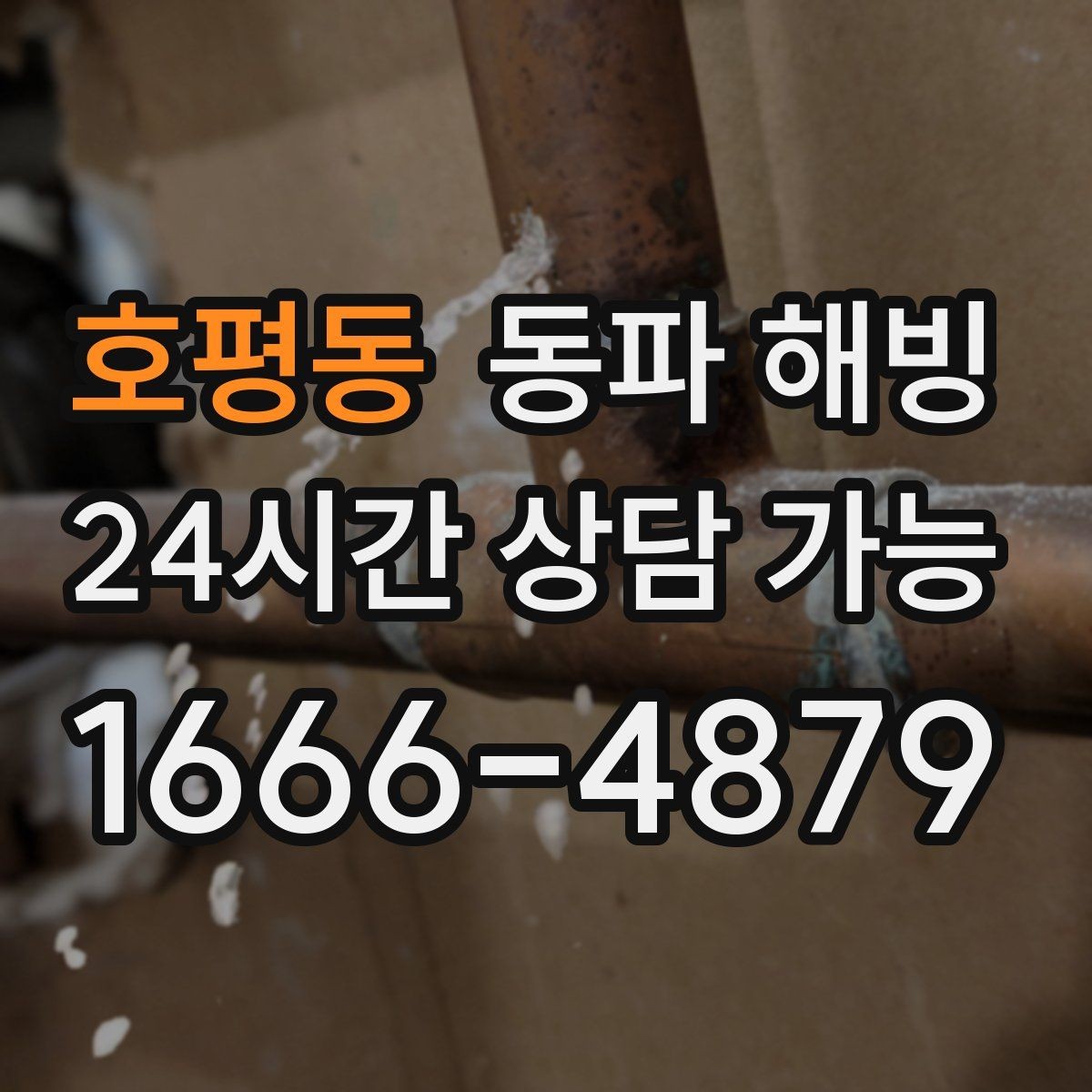 호평동 동파 해빙 주방 결빙이 반복되는 집 특징