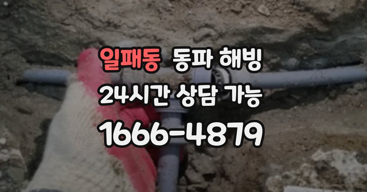 일패동 동파 해빙