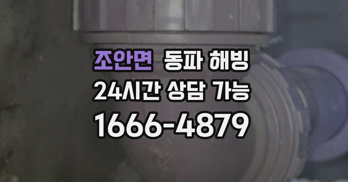 조안면 동파 해빙