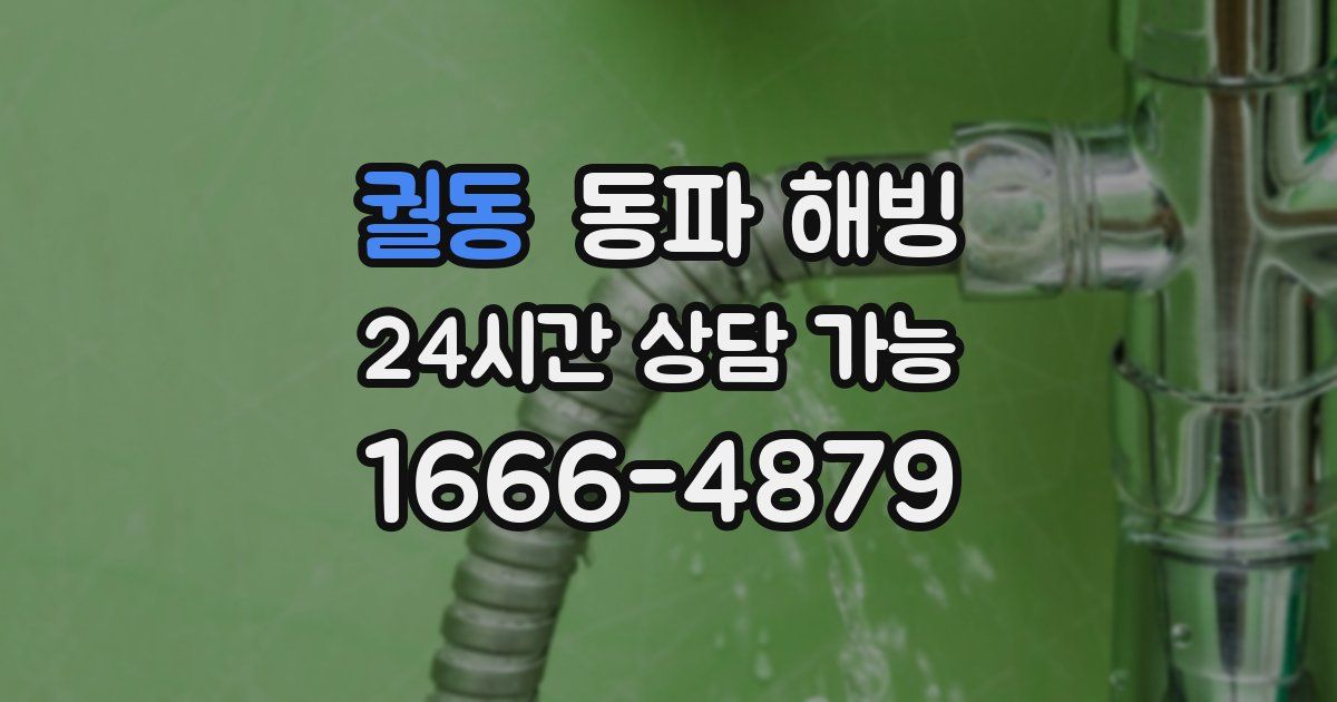 궐동 동파 해빙