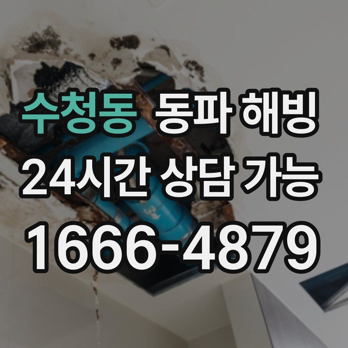 수청동 동파 해빙 결빙 구간을 빠르게 좁히는 실전 팁
