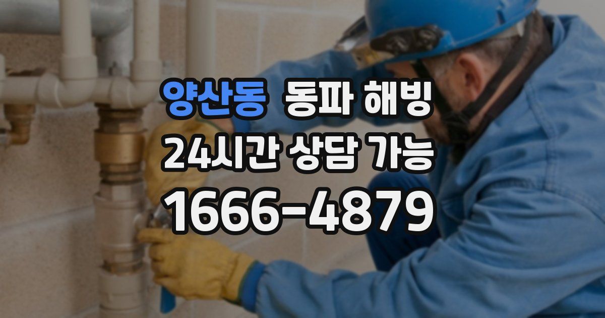 양산동 동파 해빙