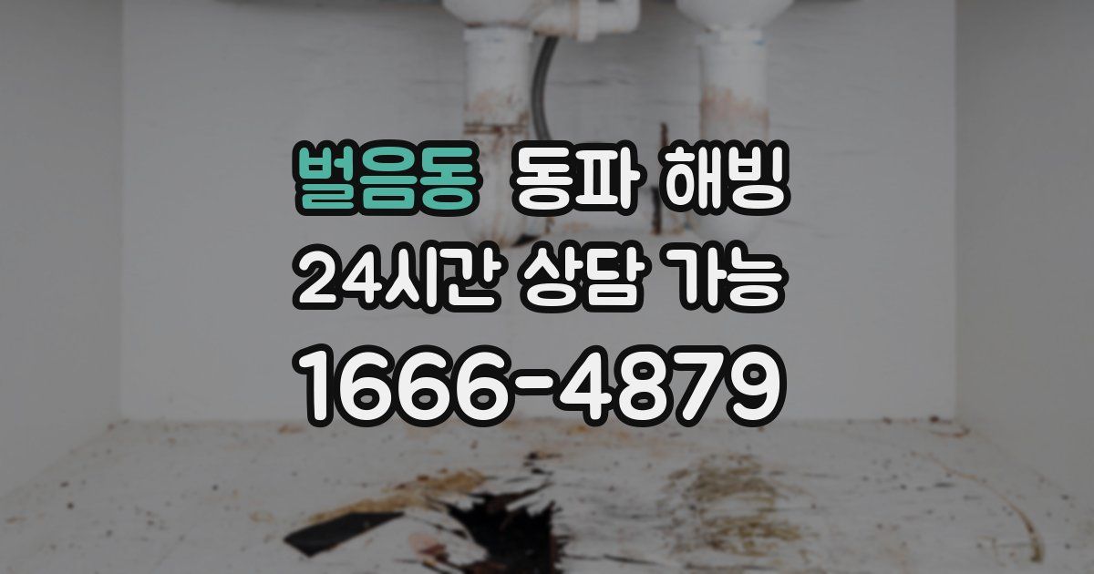 벌음동 동파 해빙