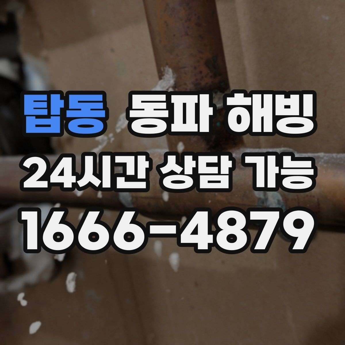 탑동 동파 해빙 특정 구역만 물이 안 나올 때 확인