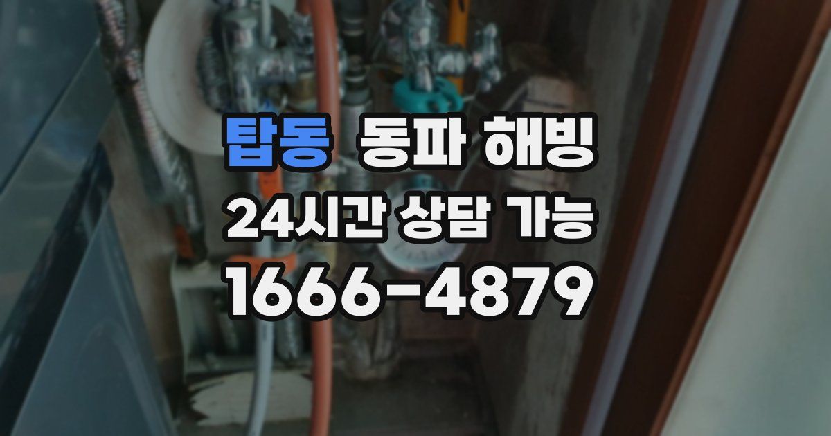 탑동 동파 해빙