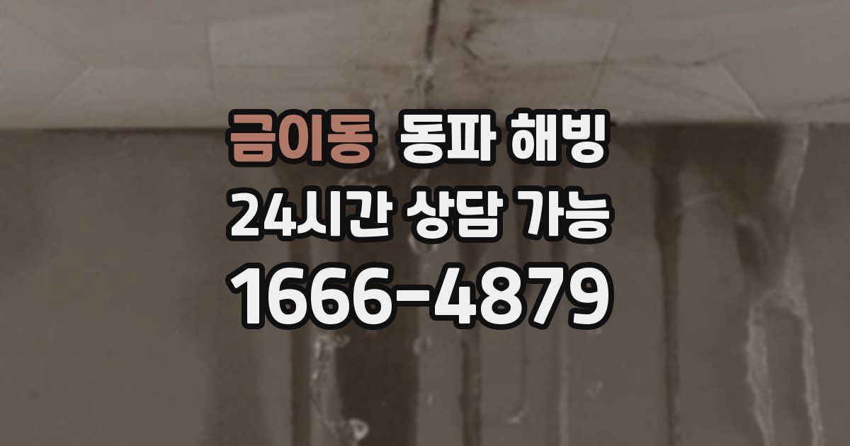 금이동 동파 해빙