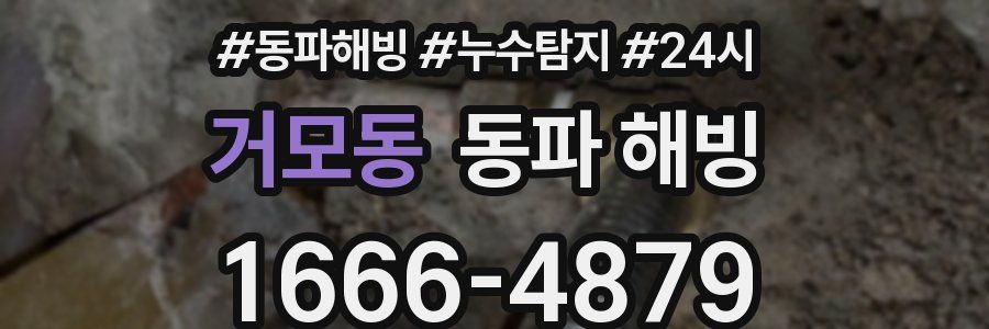 거모동 동파