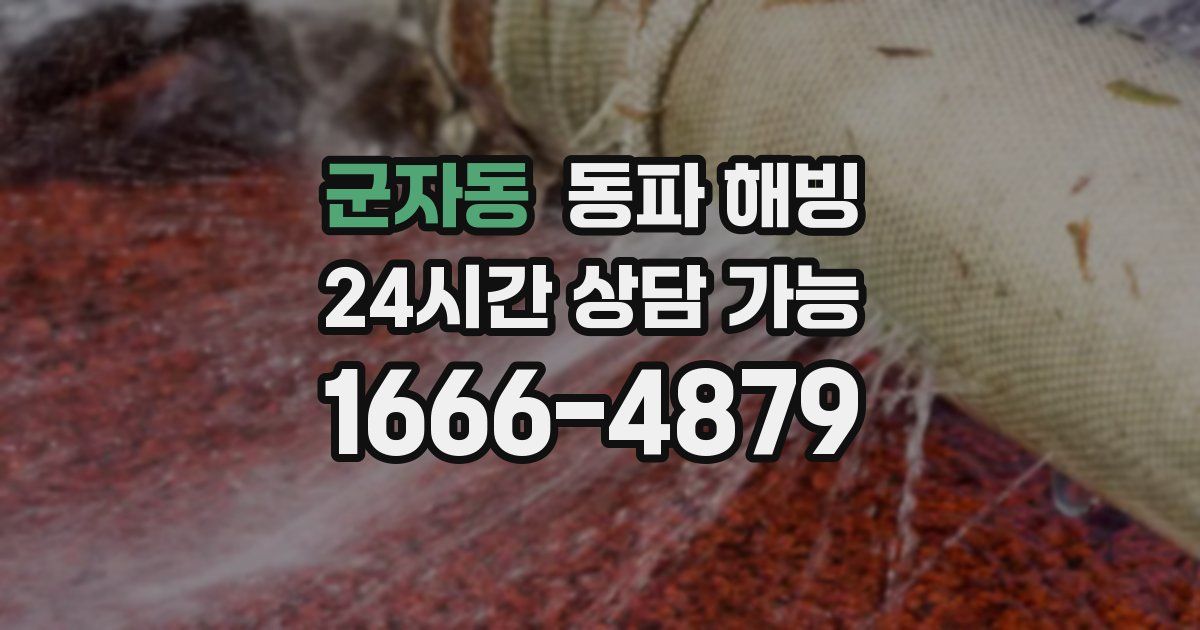 군자동 동파 해빙