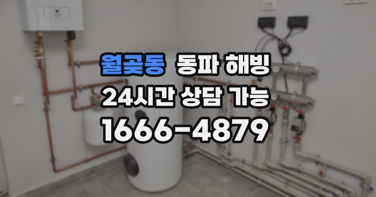 월곶동 동파 해빙