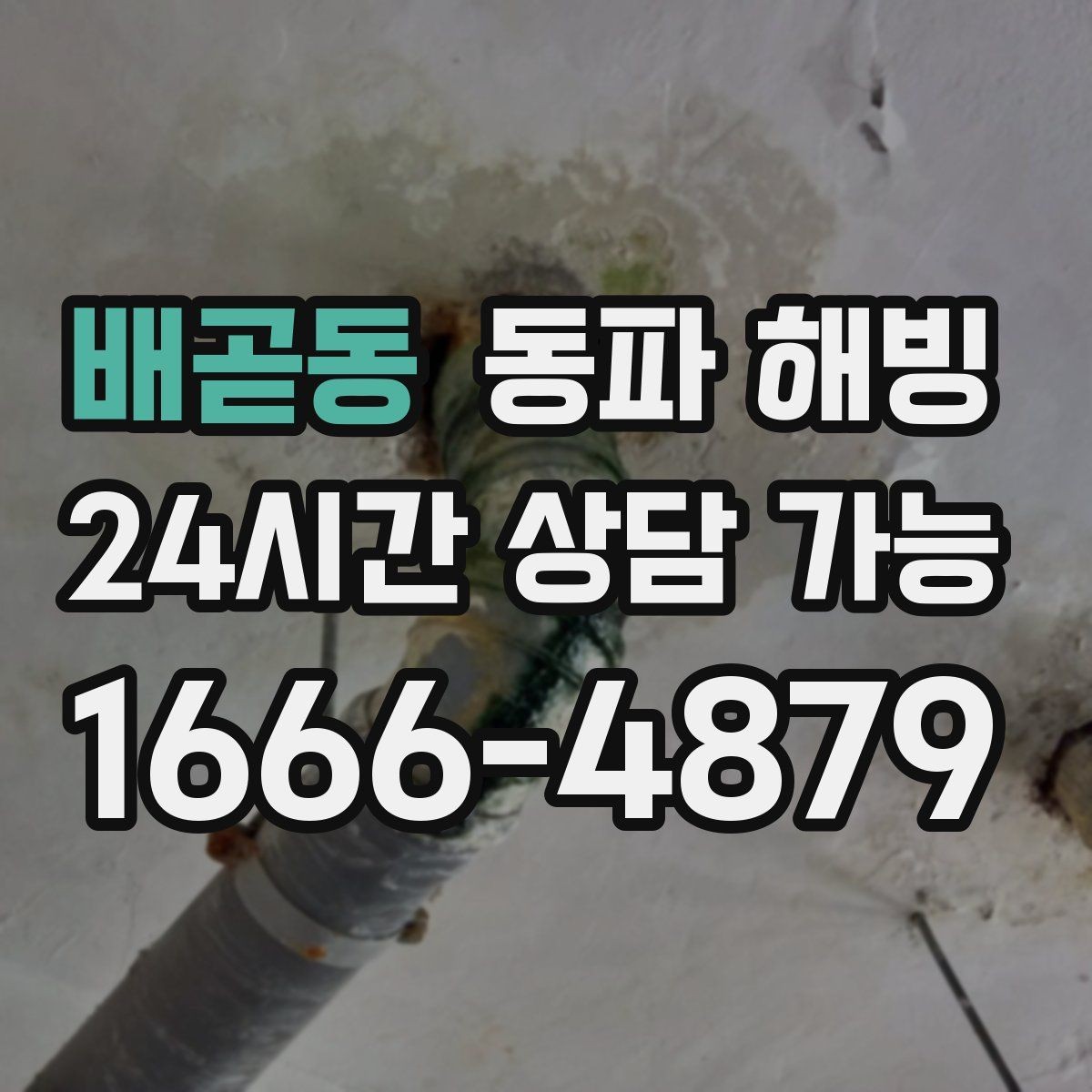 배곧동 동파 해빙 한파 뒤 많이 생기는 결빙 위치 정리