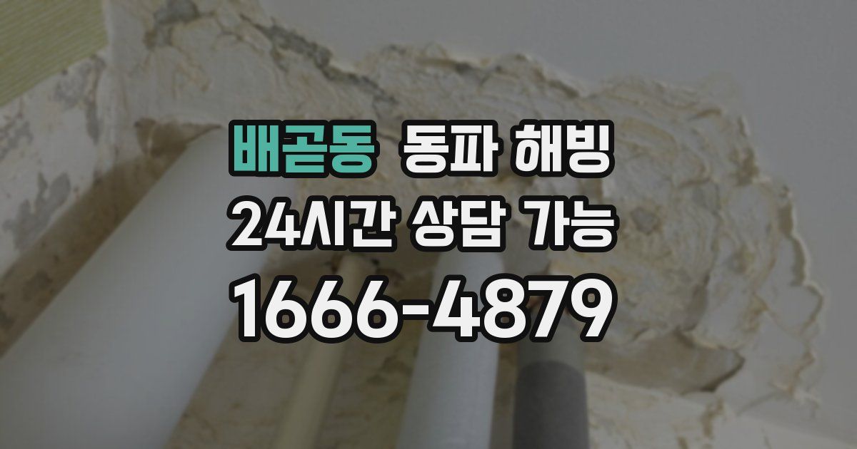 배곧동 동파 해빙