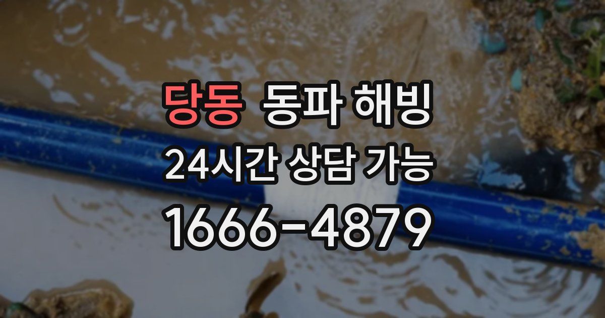 당동 동파 해빙